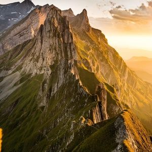 Meet your Posher, Jonathan